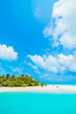 Tropikal plaj ve deniz Maldivler Island