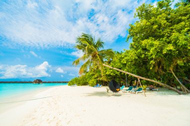 Tropikal plaj ve deniz Maldivler Island
