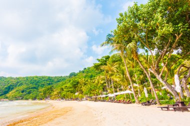 Güzel tropikal plaj ve deniz