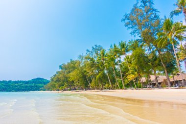 güzel tropik okyanus