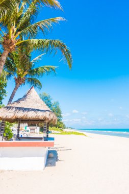 Şemsiye ve plaj sandalye