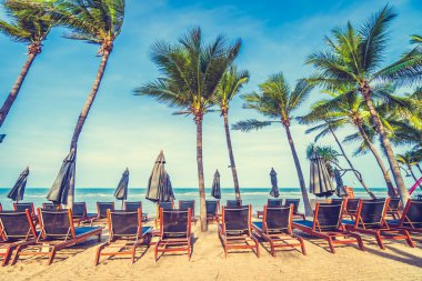 Şemsiye ve tropikal plaj sandalye