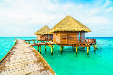 Plaj ve deniz ile güzel Maldivler ada