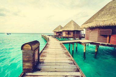 Plaj ve deniz ile güzel Maldivler ada