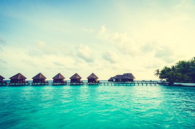 Plaj ve deniz ile güzel Maldivler ada