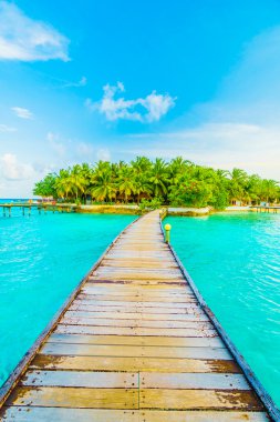 Güzel tropikal maldivler tatil beldesi