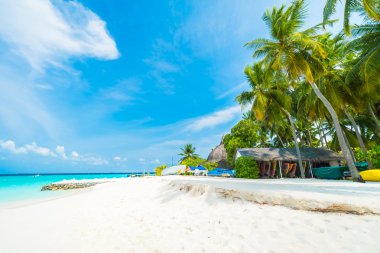 Güzel tropikal maldivler tatil beldesi