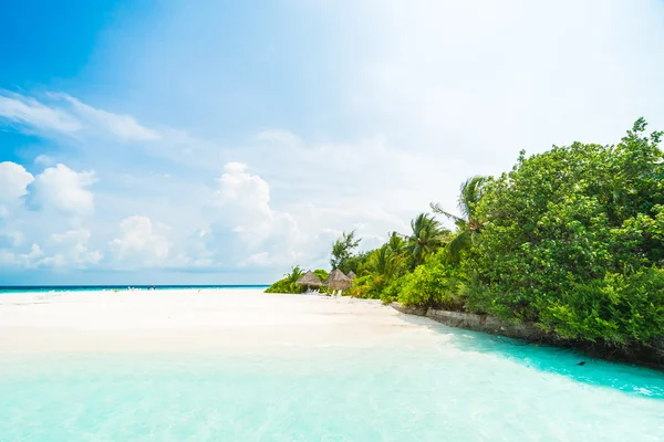 Magnifique hôtel des Maldives tropicales — Photo