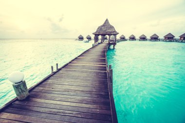 Maldivler Adası üzerinde güzel tropikal gün batımı