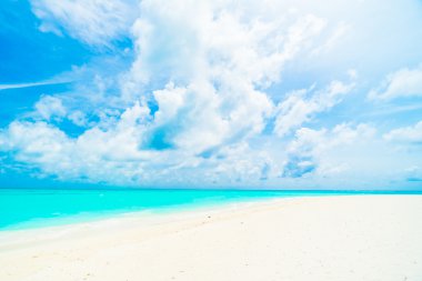 Tropikal plaj ve deniz Maldivler Island