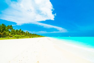 Tropikal plaj ve deniz Maldivler Island