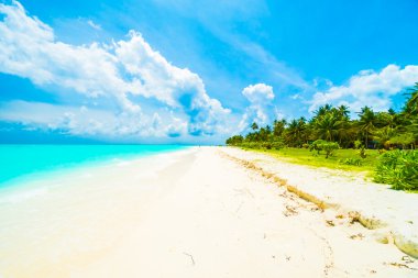 Tropikal plaj ve deniz Maldivler Island