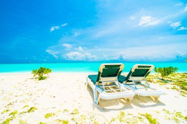 Tropikal plaj ve deniz Maldivler Island