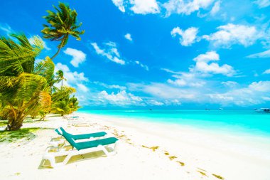 Tropikal plaj ve deniz Maldivler Island