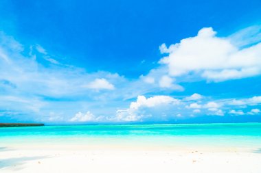 Tropikal plaj ve deniz Maldivler Island