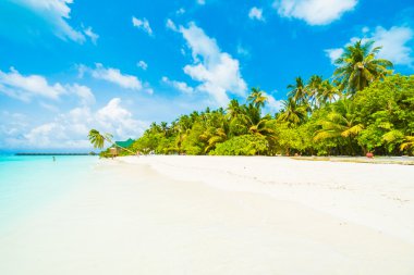 Güzel tropikal plaj ve deniz