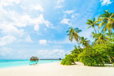 Güzel tropikal plaj ve deniz