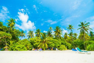 Güzel tropikal plaj ve deniz