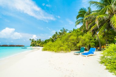 Güzel tropikal Maldivler ada