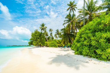 Güzel tropikal Maldivler ada