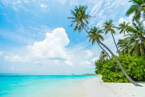 Wunderschöne tropische Insel der Malediven — Stockfoto