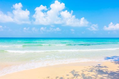 Güzel tropikal plaj ve deniz