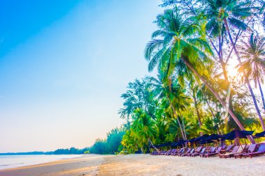 Şemsiye ve tropikal plaj sandalye