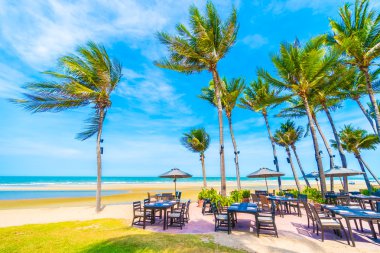 Şemsiye ve tropikal plaj sandalye