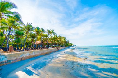 Şemsiye ve tropikal plaj sandalye