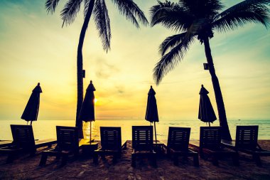 Plaj ve deniz güzel Hindistan cevizi hurma ağacı