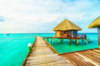 Plaj ve deniz ile güzel Maldivler ada