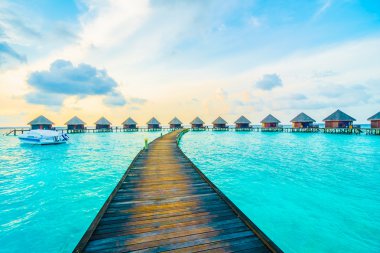 Güzel tropikal maldivler tatil beldesi