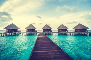 Güzel tropikal maldivler tatil beldesi