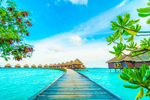 Hermosa isla de Maldivas con playa y mar — Foto de Stock