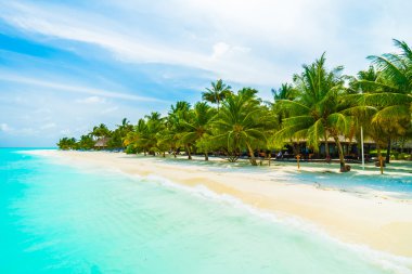 Tropikal plaj ve deniz Maldivler Island