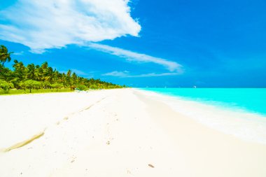 Tropikal plaj ve deniz Maldivler Island