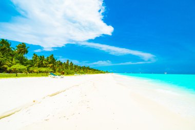 Tropikal plaj ve deniz Maldivler Island