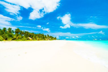 Tropikal plaj ve deniz Maldivler Island