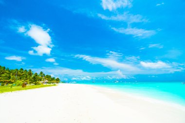 Tropikal plaj ve deniz Maldivler Island