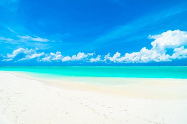 Tropikal plaj ve deniz Maldivler Island