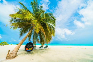 Güzel tropikal plaj ve deniz