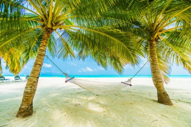 Boş hamak güzel tropik sahilde