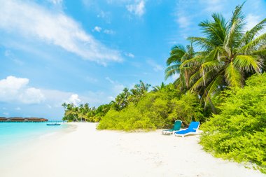 Güzel tropikal Maldivler ada