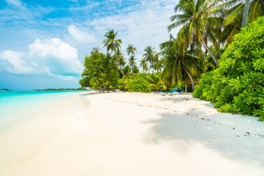 Güzel tropikal Maldivler ada