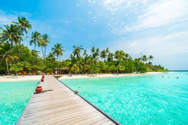 Beautiful tropical Maldives island — Stock Photo, Image