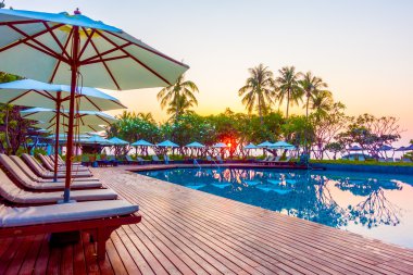 Hindistan cevizi hurma ağaçlarının Silhouettes