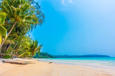 güzel tropik okyanus