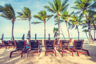 Şemsiye ve tropikal plaj sandalye