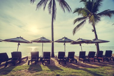 Plaj ve deniz güzel Hindistan cevizi hurma ağacı