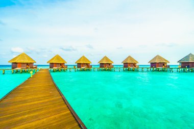 Güzel tropikal Maldivler ada